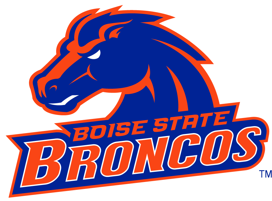 Boise State Broncos 2002-2012 Secondary Logo v26 t shirts iron on transfers